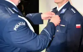 381-310219