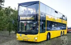3F3A6564