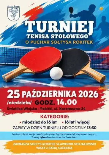 Turniej Tenisa Stołowego w Rokitkach