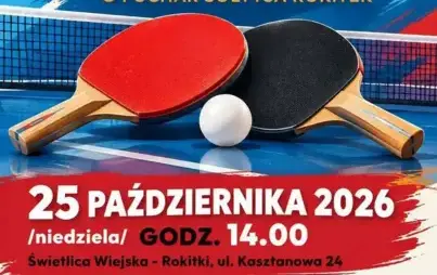 Zdjęcie do Turniej Tenisa Stołowego w Rokitkach