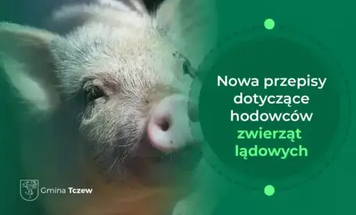 Zdjęcie do Komunikat dla hodowc&oacute;w zwierząt: Nowe obowiązki w zakresie zwalczania ASF oraz rejestracji zakład&oacute;w