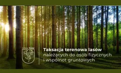 Zdjęcie do Taksacja terenowa las&oacute;w