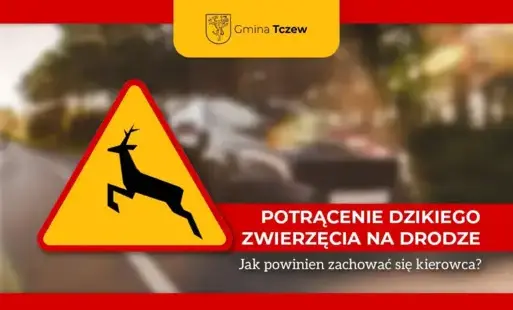 Zdjęcie do Potrącenie dzikiego zwierzęcia na drodze &ndash; jak powinien zachować się kierowca? APEL DO KIEROWC&Oacute;W