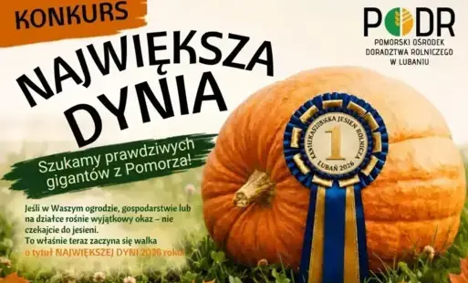 Zdjęcie do Konkurs &bdquo;Największa Dynia&rdquo;: zapraszamy do udziału!